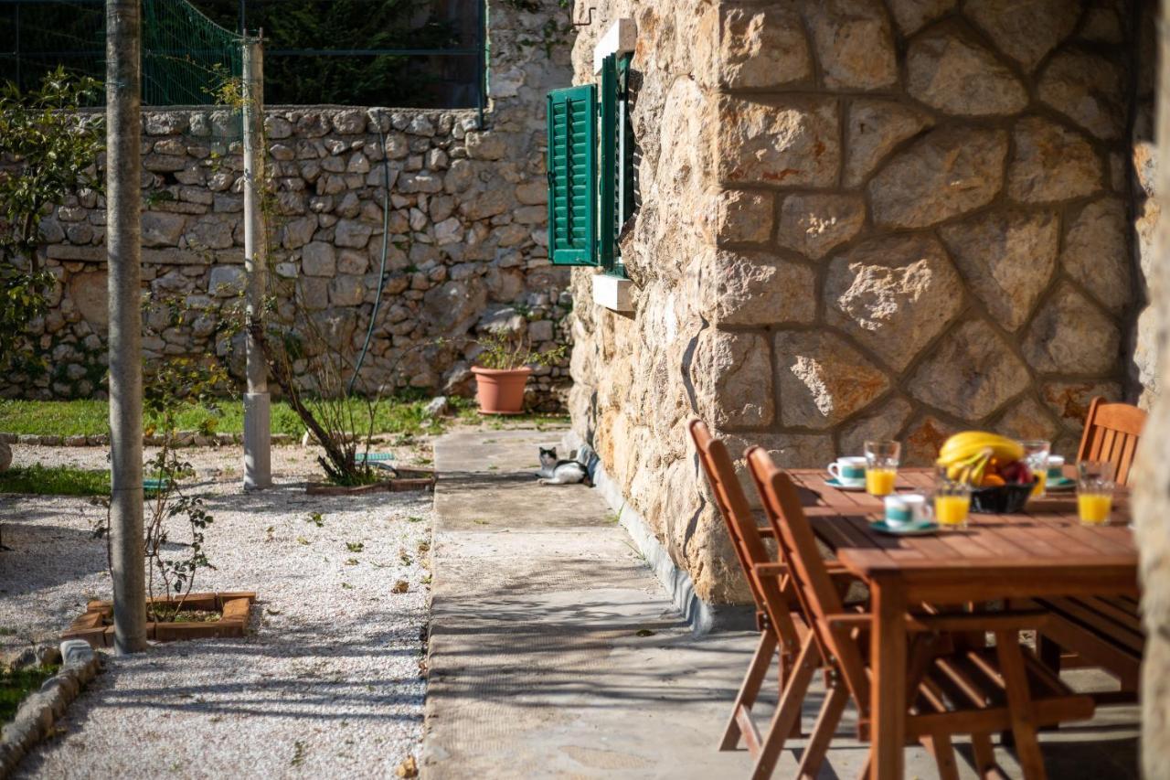 Ahava Garden